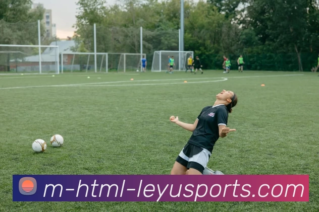 App Interface Preview